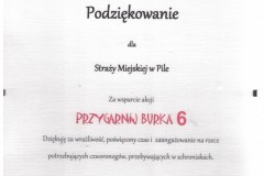 Skan_20200716-41